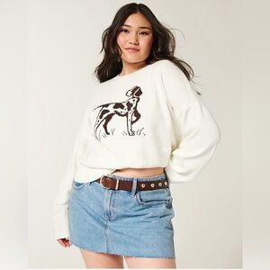 Hollister Easy Dog Graphic Crew Sweater